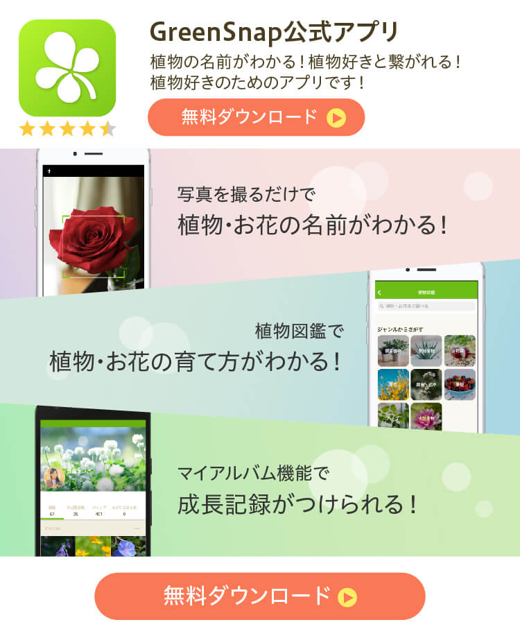 Greensnapとは Greensnap グリーンスナップ