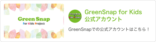 GreenSnap公式 GreenSnap for kids projectアカウント