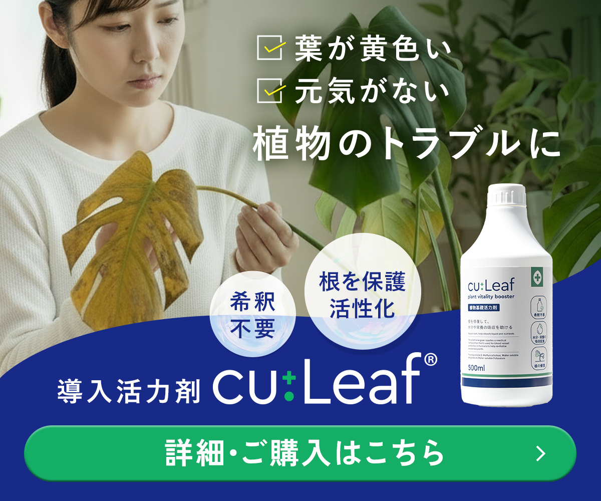 クレマチスの挿し木の仕方】成功率をあげる増やし方のコツとは？