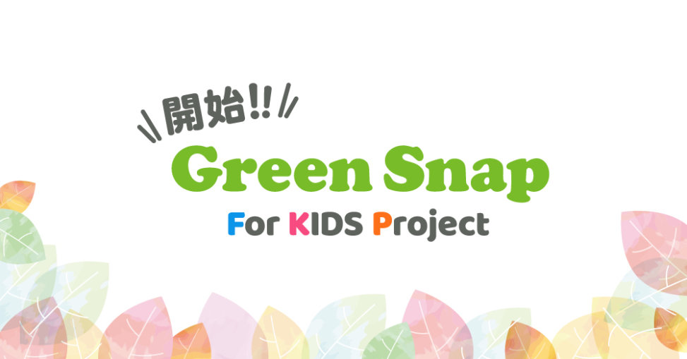 Greensnapが植物や花を育てる子供向け体験プロジェクトgreensnap For Kidsを開始 Greensnap ニュースリリース