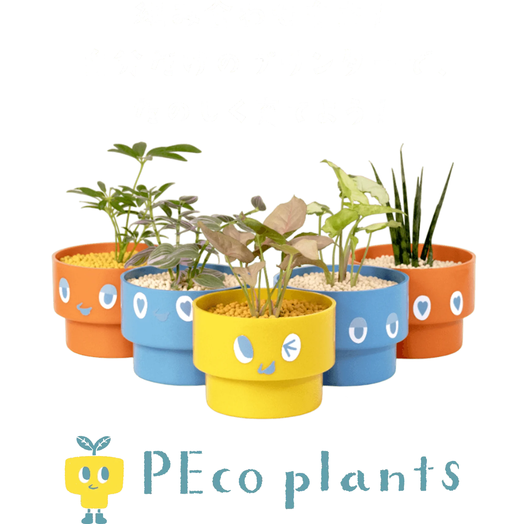 7plants(東邦ガス)