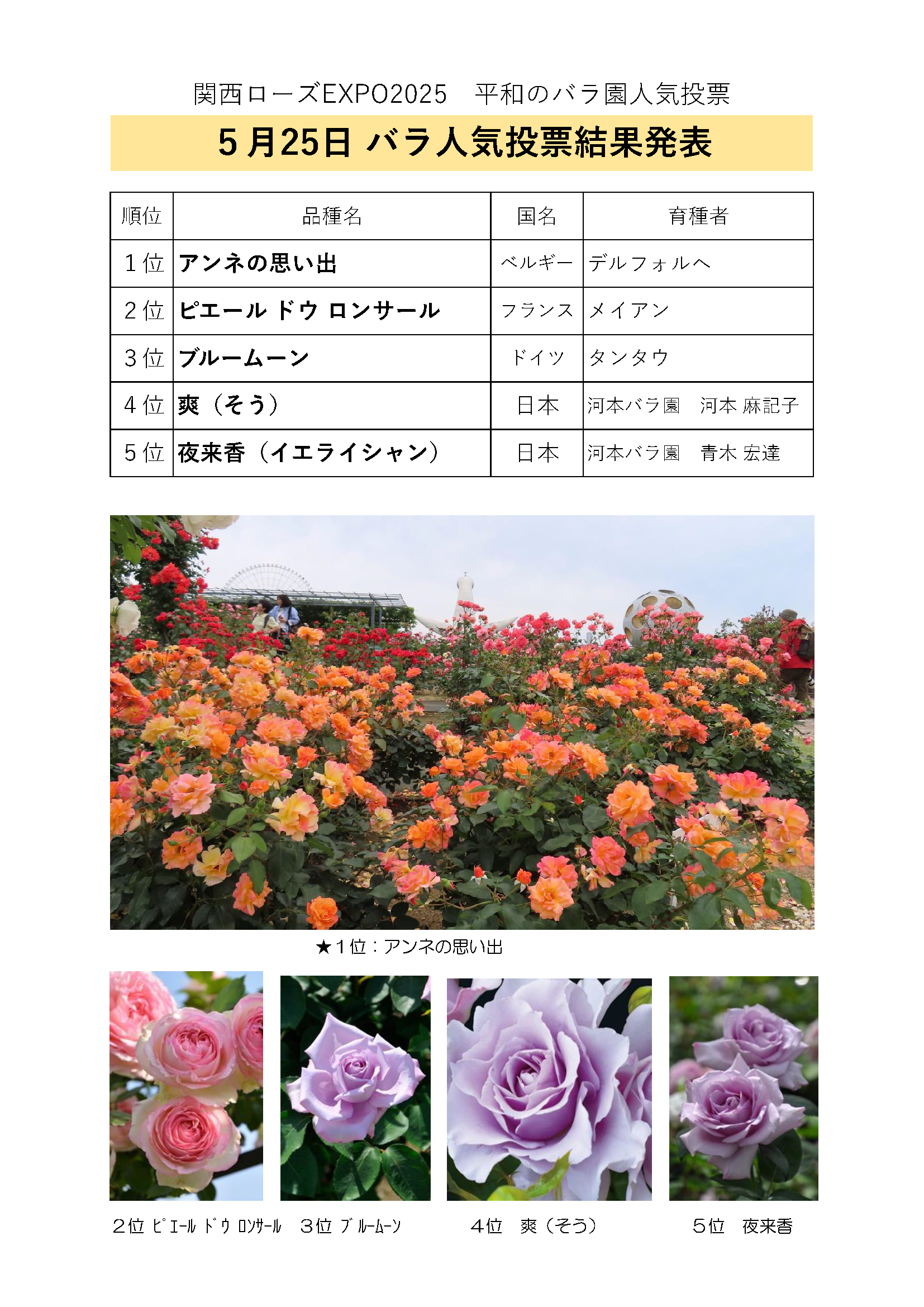 関西ローズEXPO 平和のバラ園人気投票