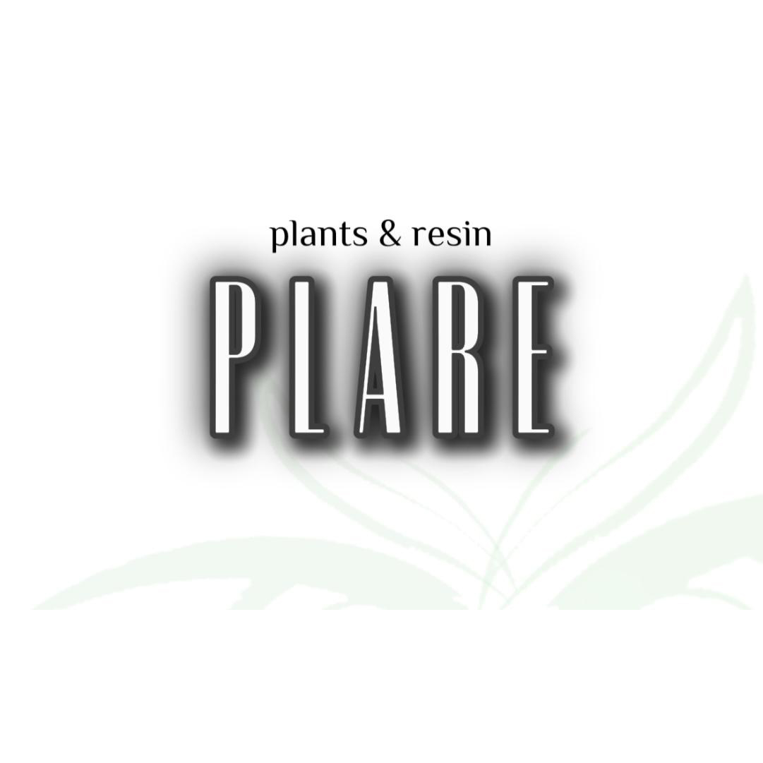 plants & resin【PLARE】