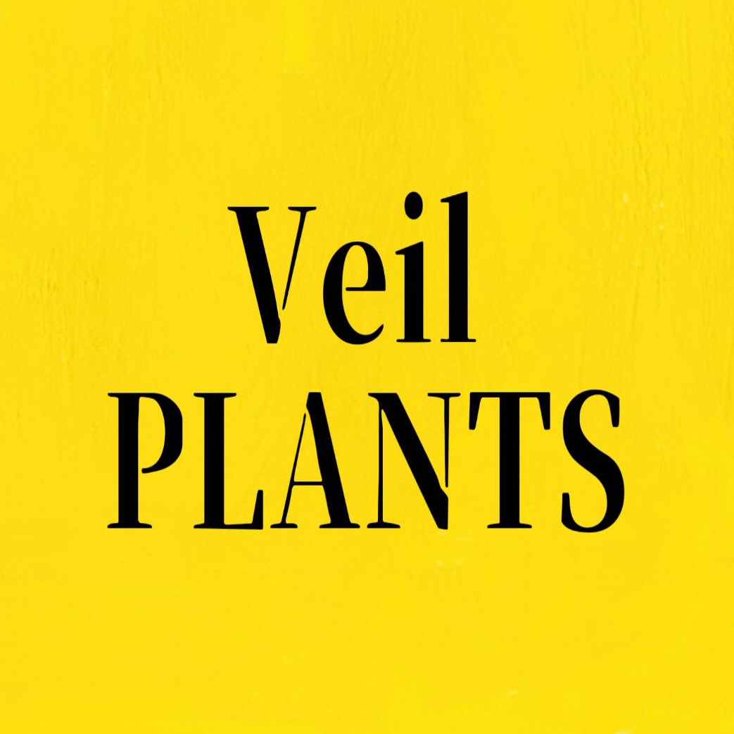 veilplants