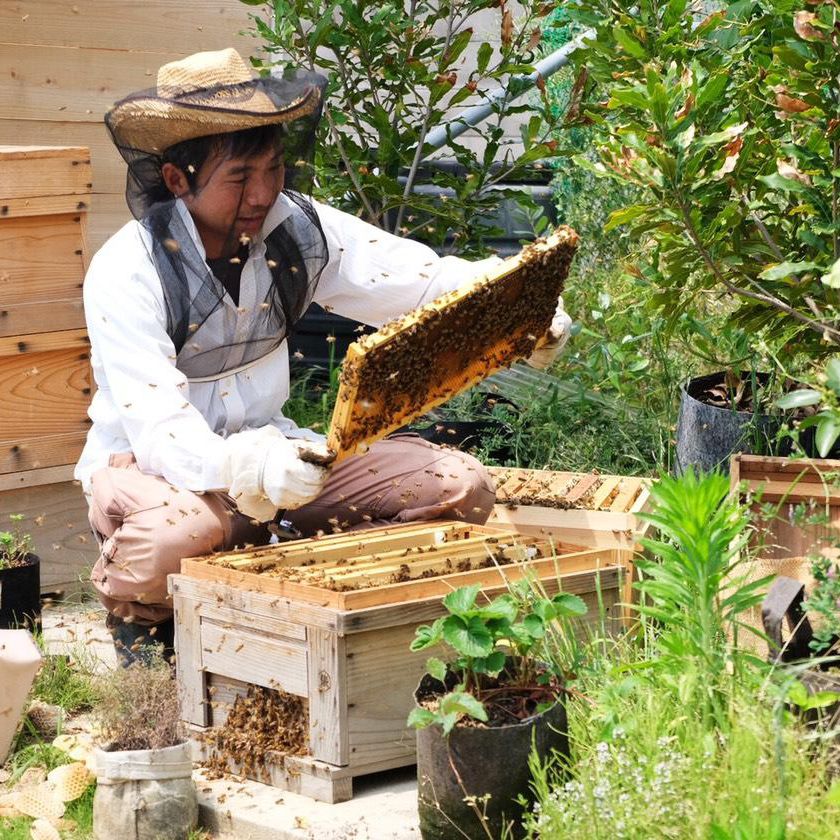 テラゲンファーム※土曜日のみ