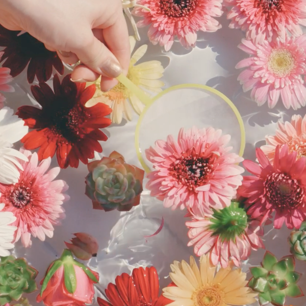 無料で参加可能！お花すくい体験