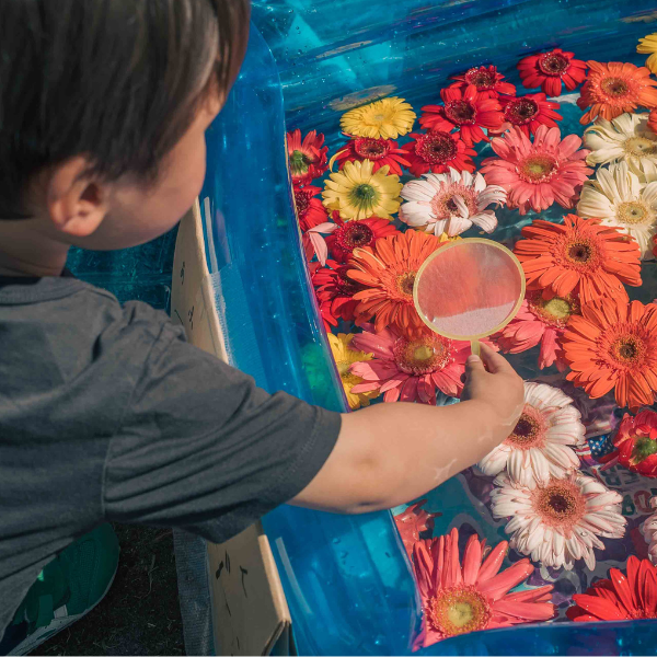 無料で参加可能！お花すくい体験