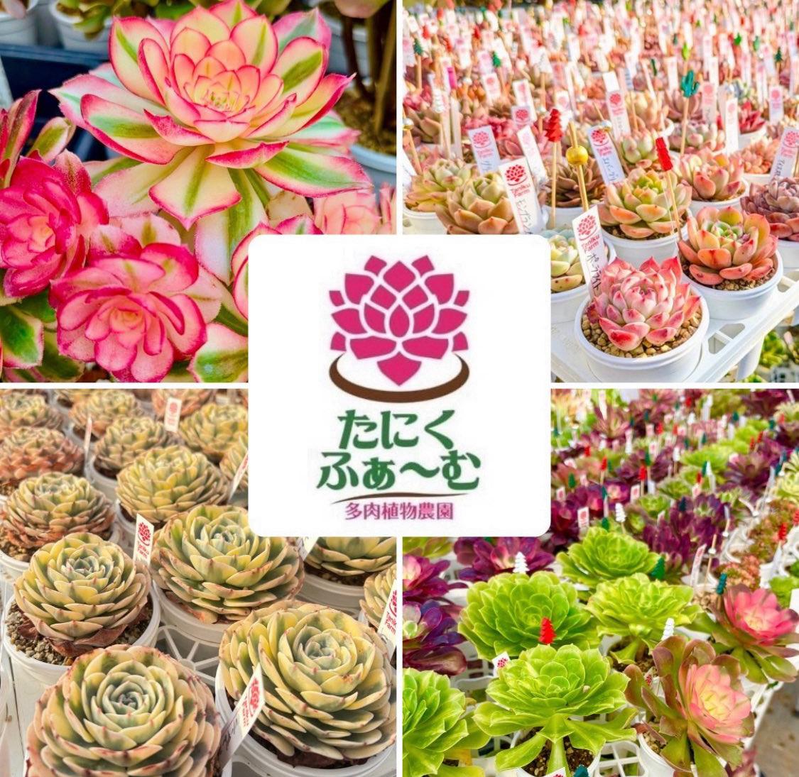 たにくふぁ〜む