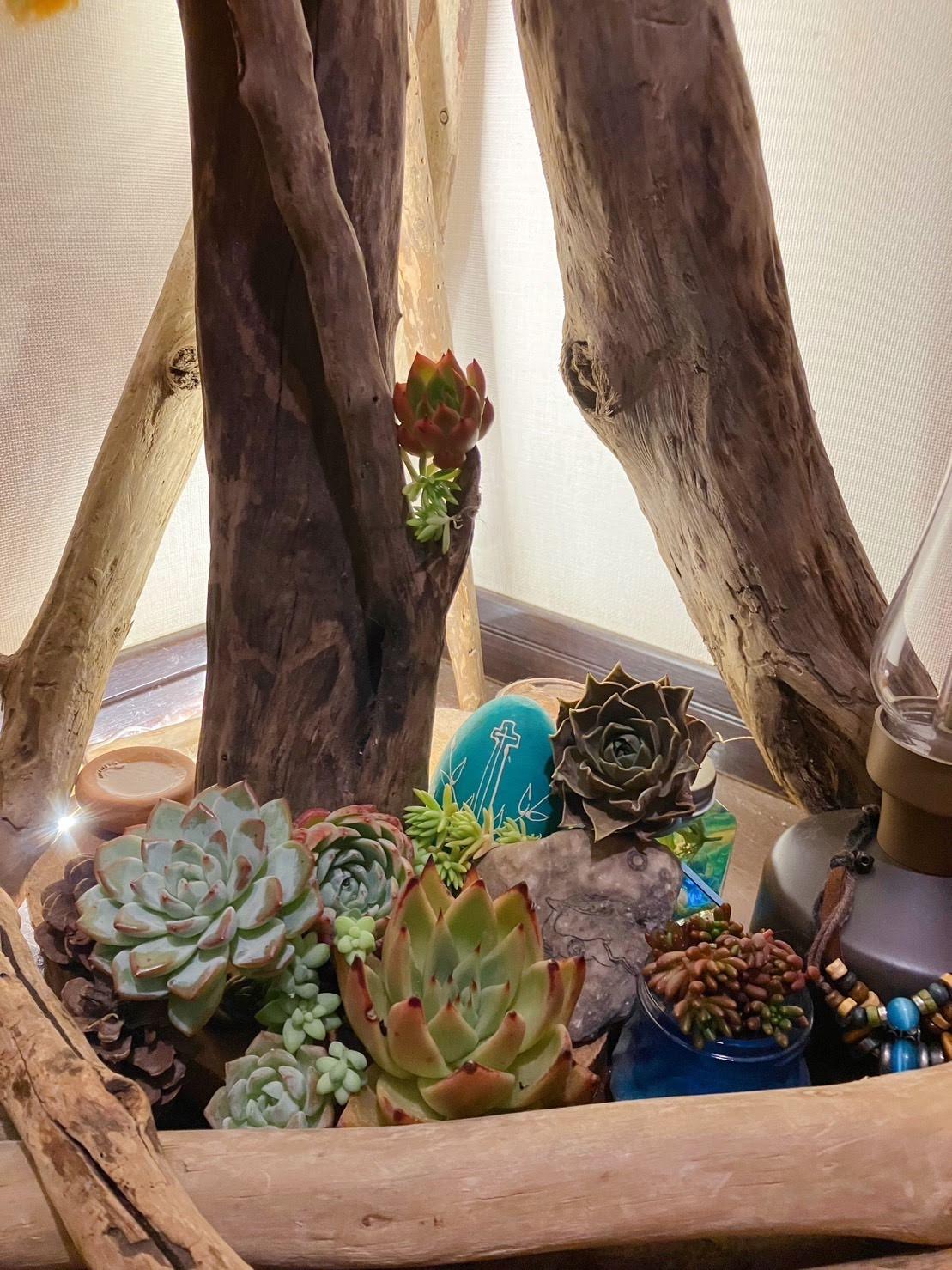 たにくしょっぷnitaytum