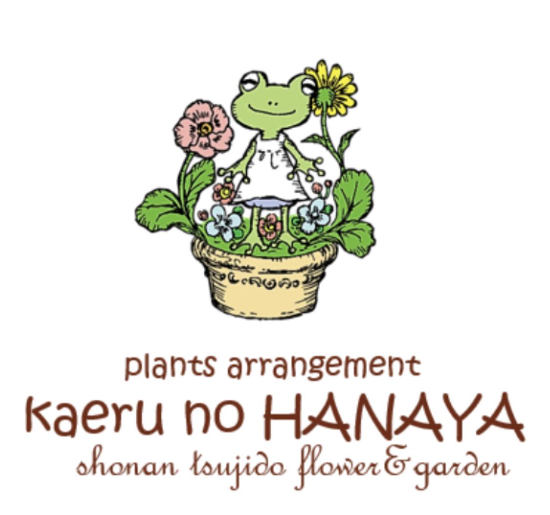 Kaeru no HANAYA と仲間たち