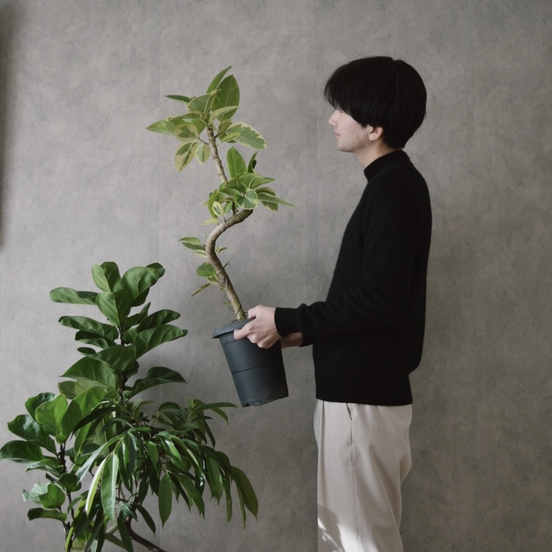 かい｜観葉植物男子