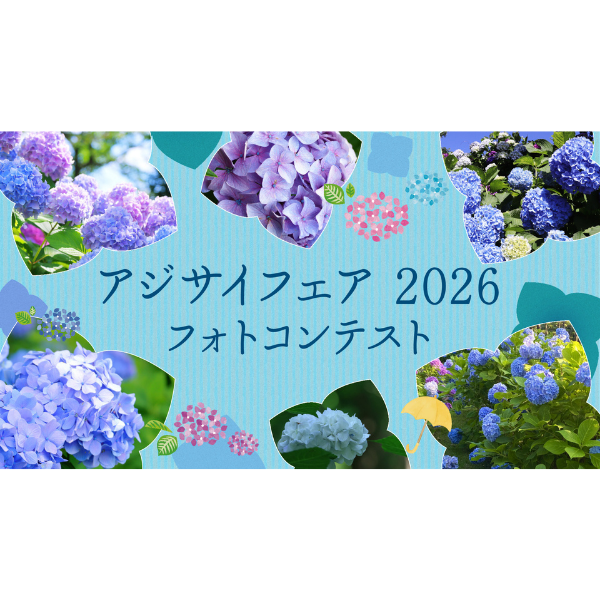 アジサイフェア2026 フォトコンテスト