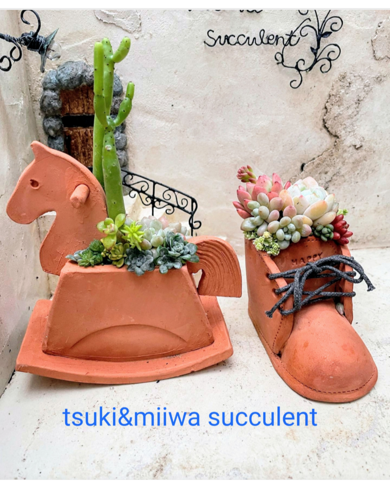 tsuki＆miiwa succulent
