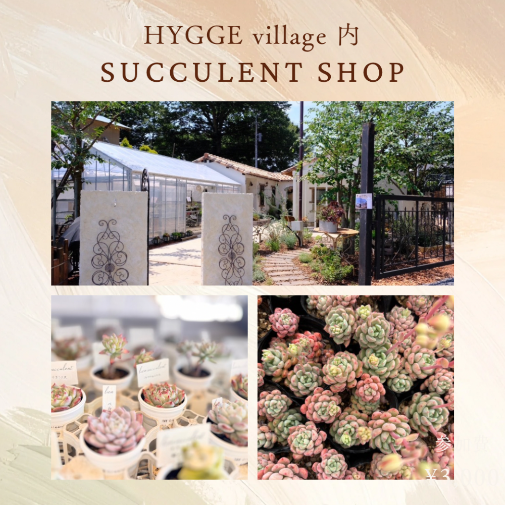 lien succulent