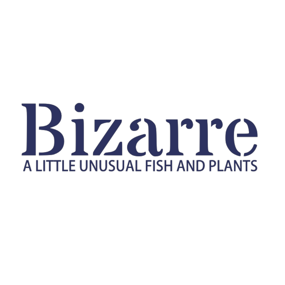 Bizarre (ビザール)