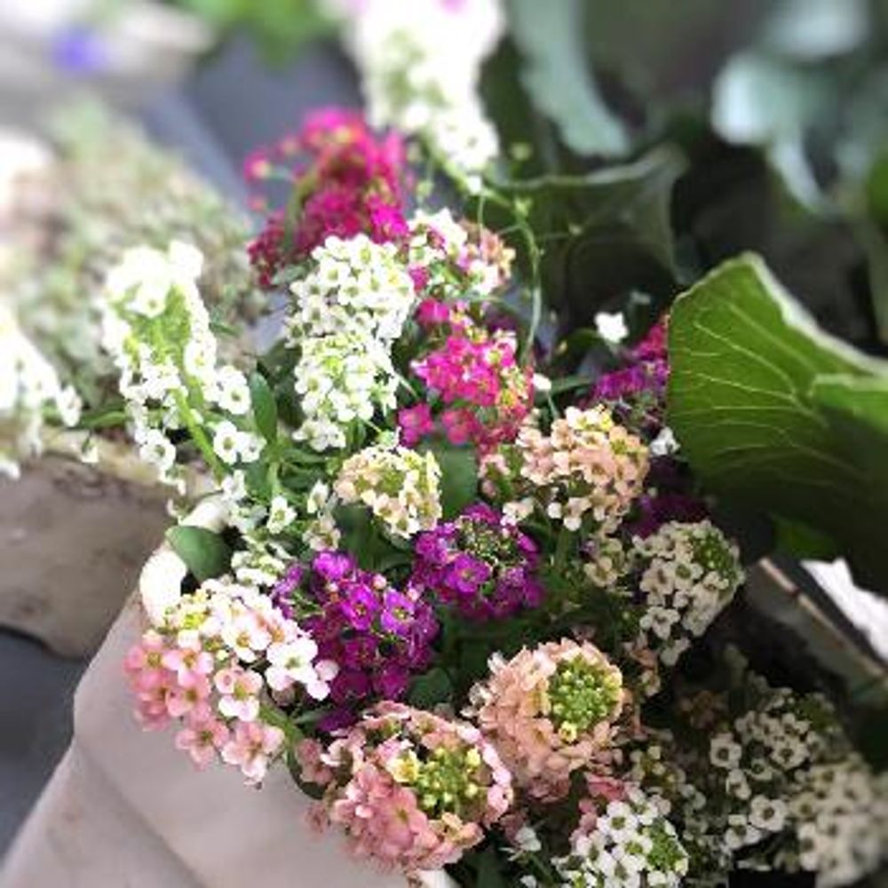 1447075856462_thum_1447075855014_thum_tmp