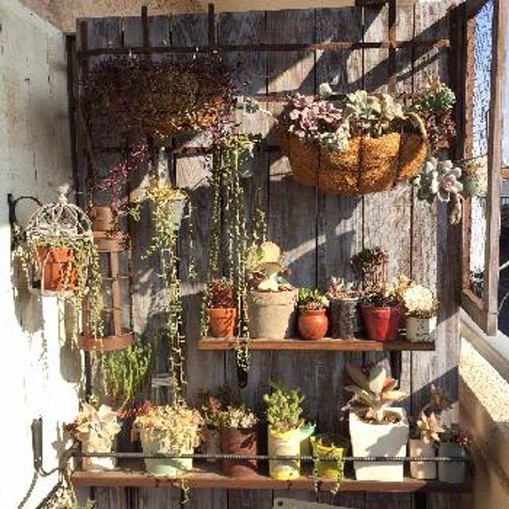 1453708974684_thum_1453708972837_thum_tmp