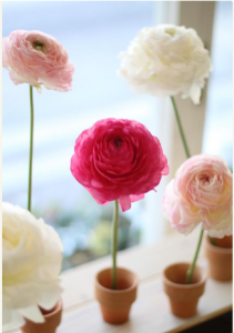 スクリーンショット 2016-02-25 13.45.46