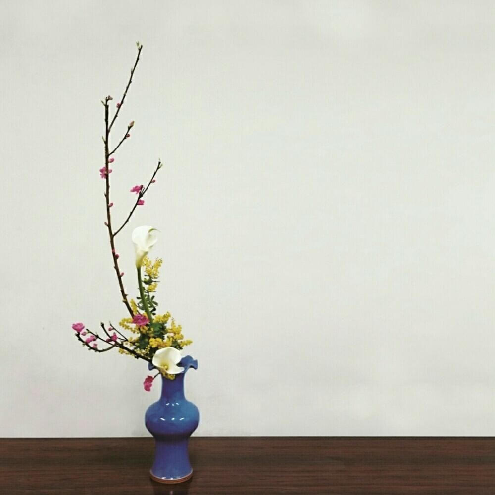 Photo by 花狂い・熊野寿哉@GreenSnap