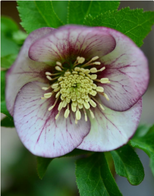 スクリーンショット 2016-03-11 22.23.01