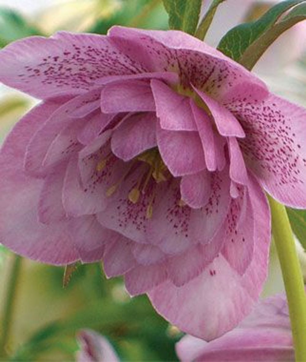 b530674c9c73314ef1ced949c2ea730c