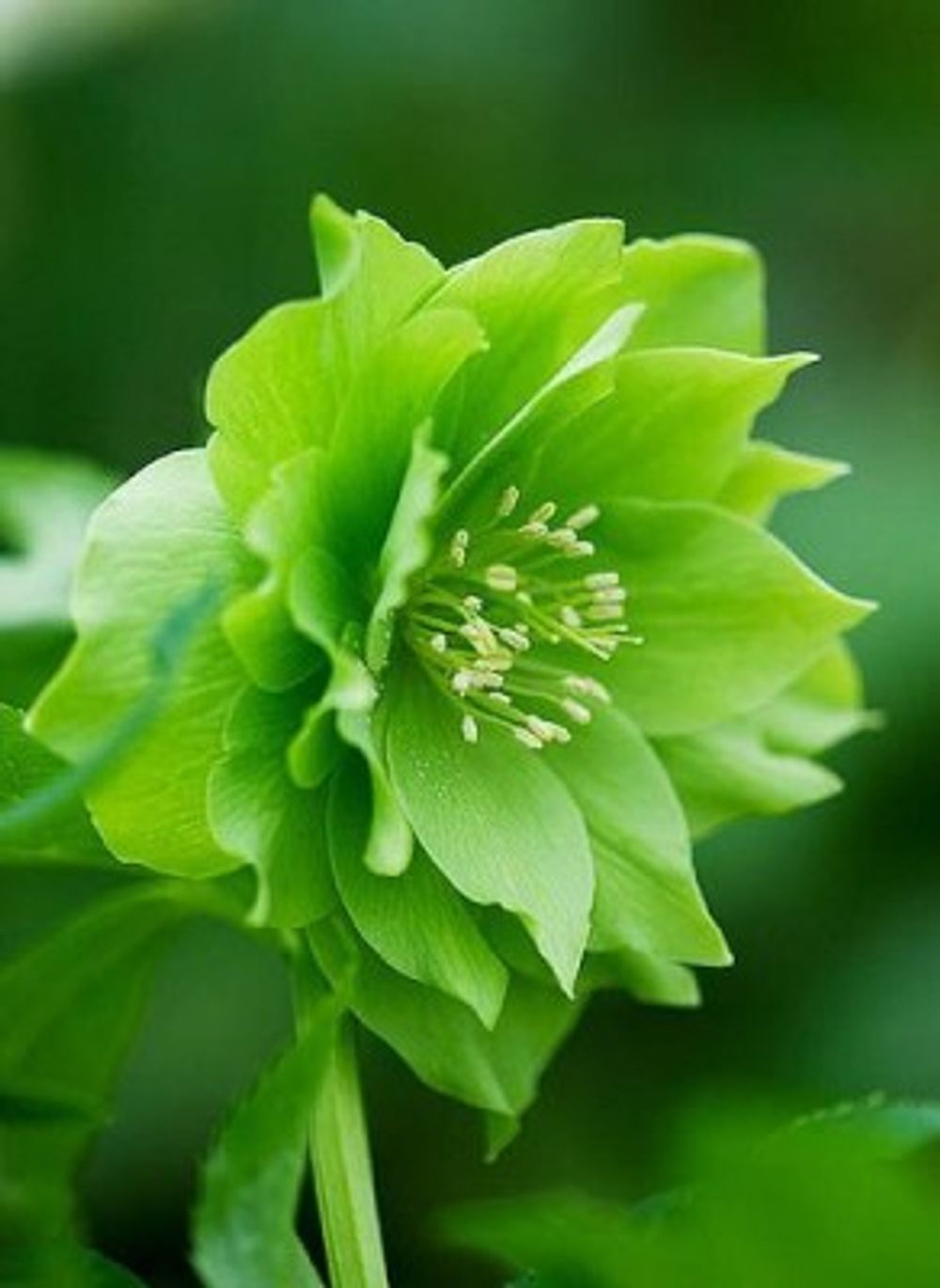 05420abdbfe90f1940afef49bbb627d3