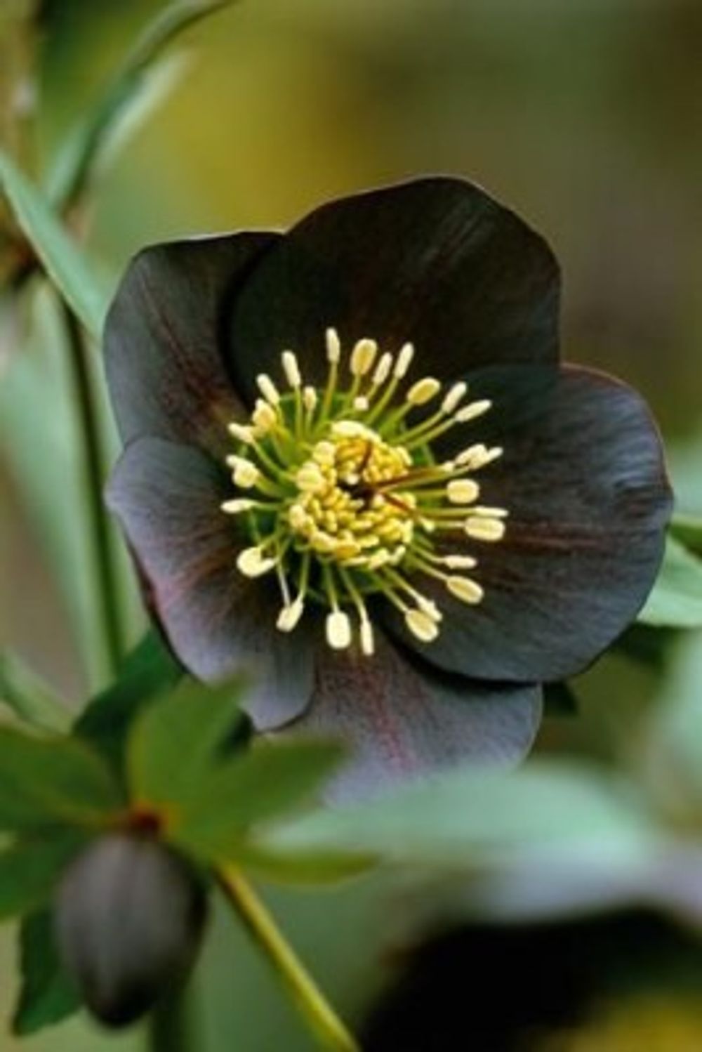 88ca433c4e860246a955525933f3db2f