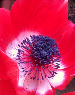 スクリーンショット 2016-03-18 16.46.37