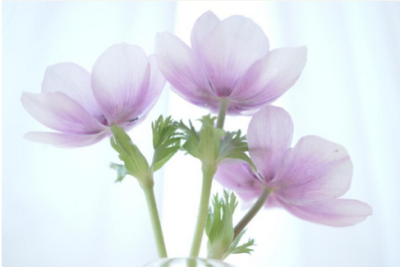 スクリーンショット 2016-03-22 9.58.10