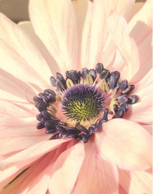 スクリーンショット 2016-03-22 10.11.26