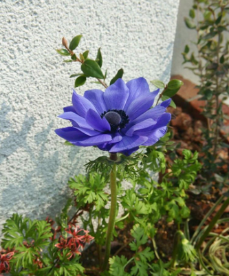 スクリーンショット 2016-03-22 11.22.01