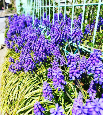 スクリーンショット 2016-03-30 17.48.42