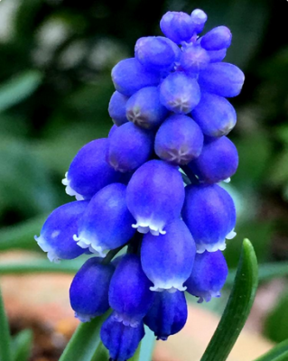 スクリーンショット 2016-03-30 17.50.43