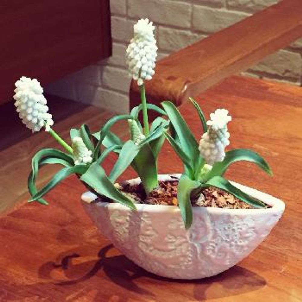 1458642281333_thum_1458642280387_thum_tmp