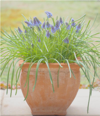 スクリーンショット 2016-03-30 18.03.45