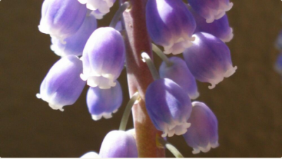 スクリーンショット 2016-03-30 18.06.11