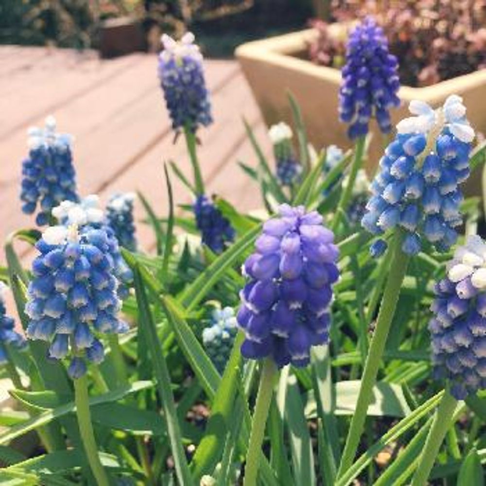 1458872448284_thum_1458872447206_thum_tmp