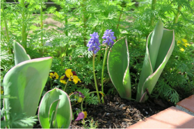 スクリーンショット 2016-03-30 18.11.23