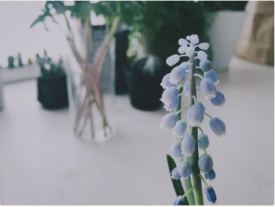 スクリーンショット 2016-03-30 18.19.48