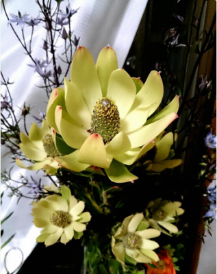 スクリーンショット 2016-05-17 13.28.29