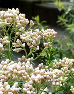 スクリーンショット 2016-05-17 13.38.35