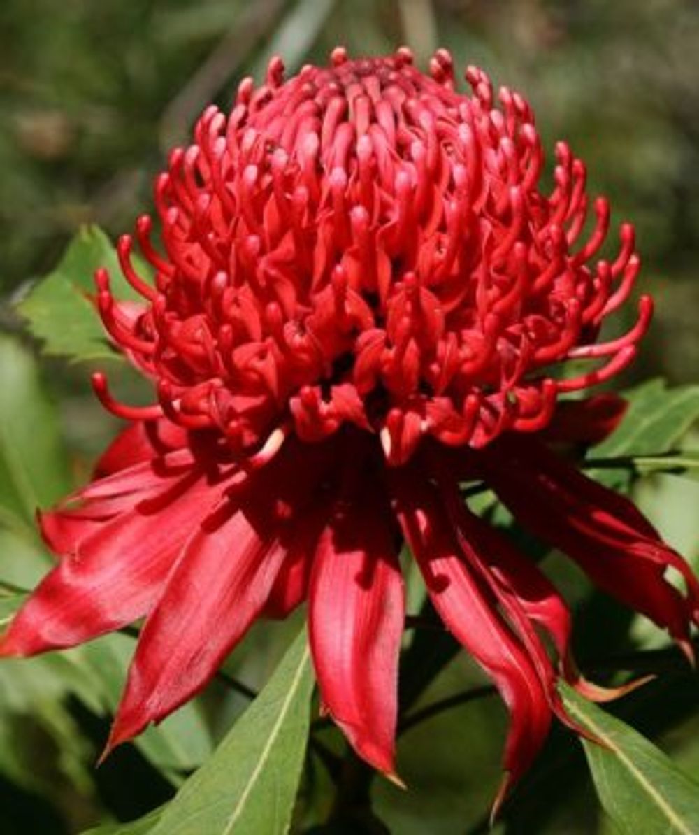 a9d46fa56a06bddf62e61af3aaabb897-1