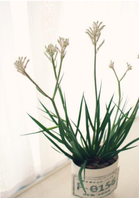 スクリーンショット 2016-05-17 13.16.01