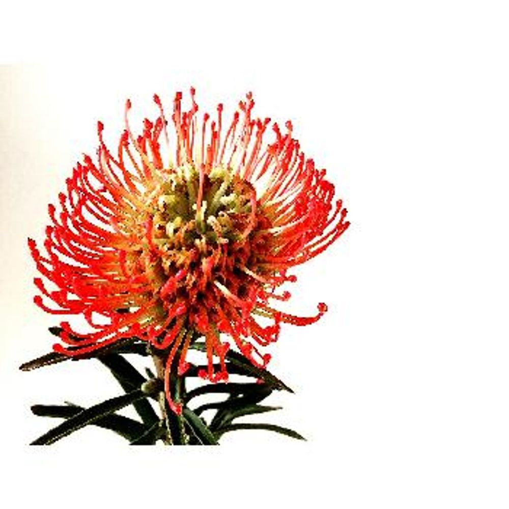 1448955436137_thum_1448955434399_thum_tmp