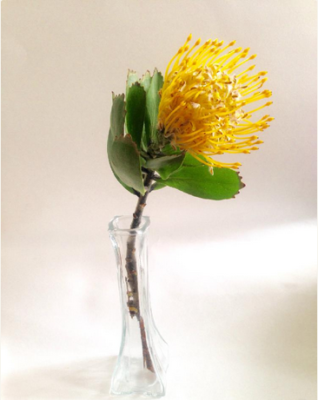 スクリーンショット 2016-05-17 14.52.25