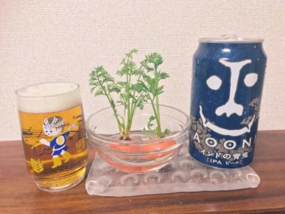 植物の天敵 ナメクジ駆除の方法とは コーヒーやビールが効くの Greensnap グリーンスナップ