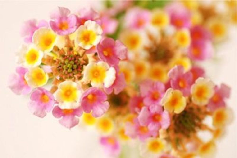 570081500acdad2ab5189a7c88eaf9a9