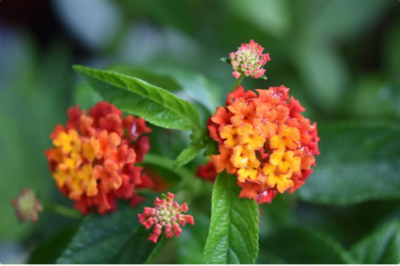 スクリーンショット 2016-06-23 17.40.24