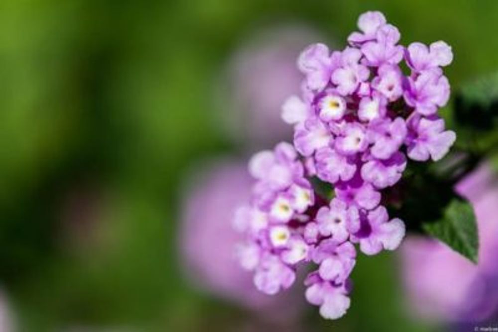 a50b401f44a1d33f88659829df65ecf9