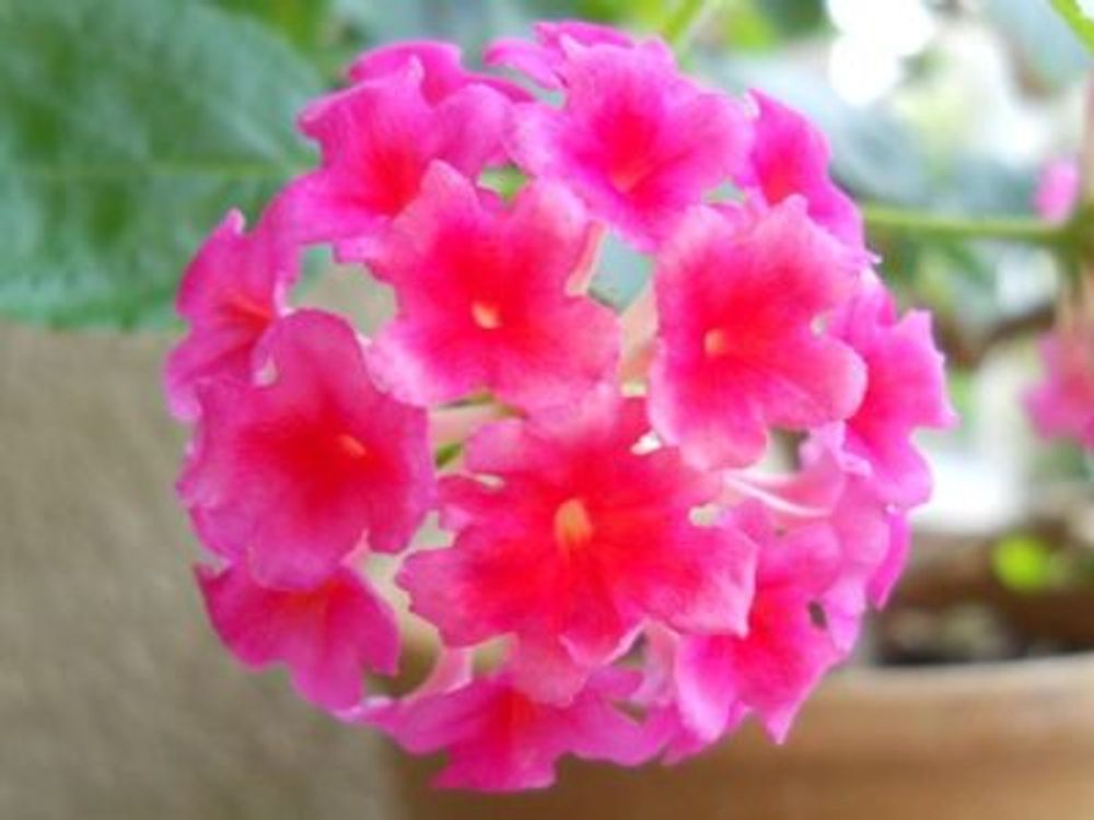 a49e0f3cebf195333cc658423e32443c